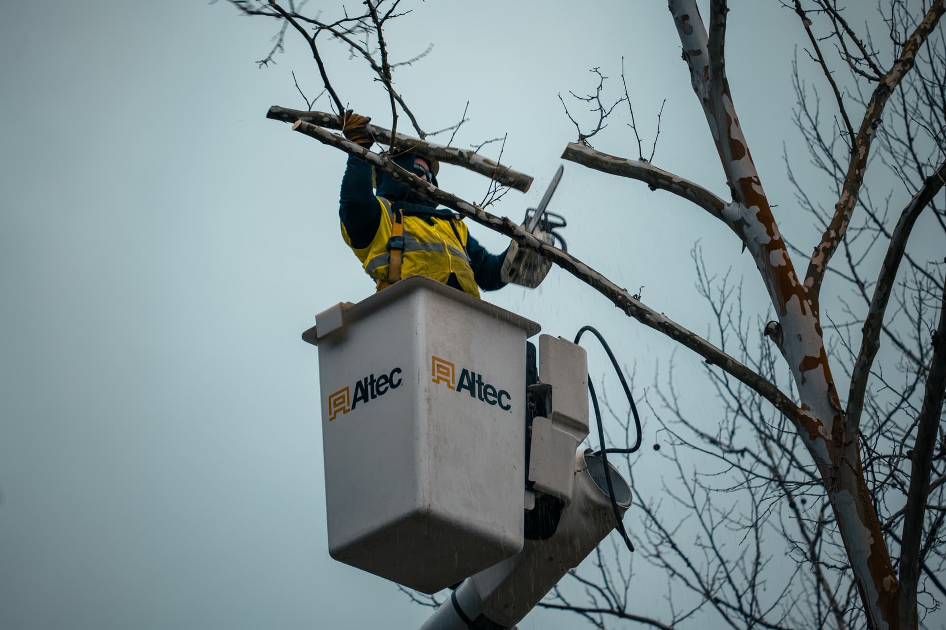 VEGETATION MANAGEMENT
